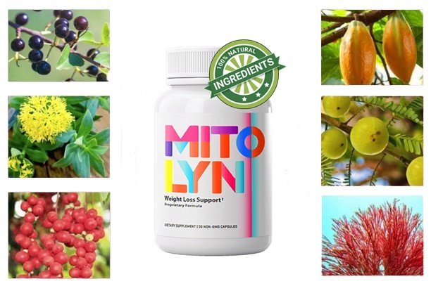 Mitolyn Ingredients